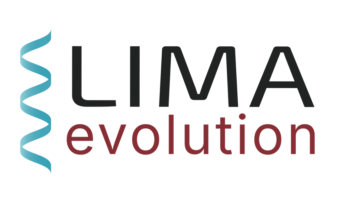 lima-evolution.com